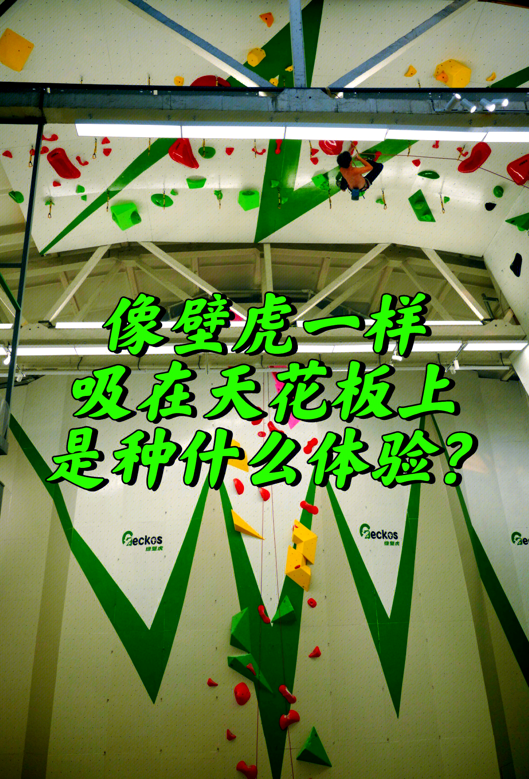 包含攀岩体验日，绿色运动新宠的词条