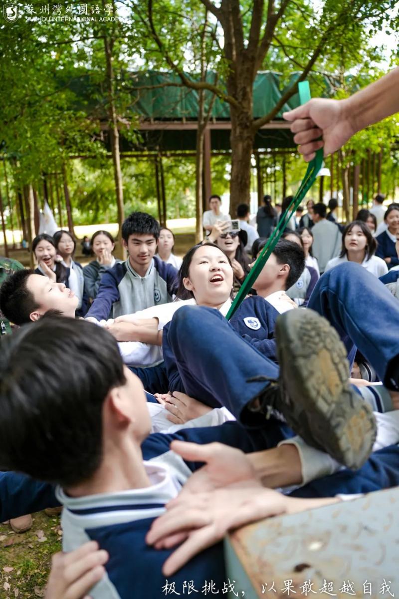 野外生存竞技大赛，考验智慧与体力的极限角逐的简单介绍