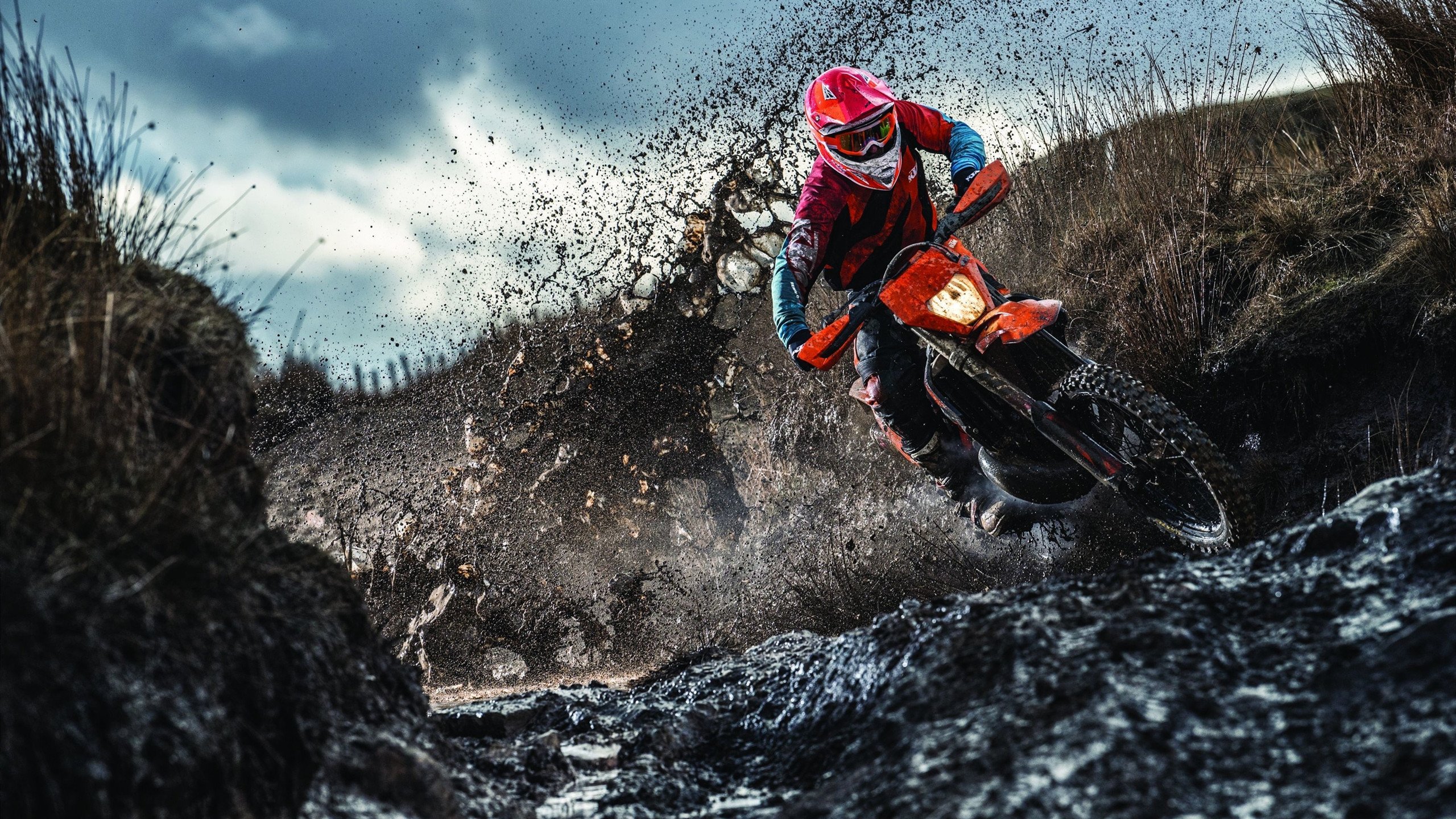 乐鱼网官网进入-电竞解说的风格：专业分析与幽默风趣，关于电竞解说的介绍